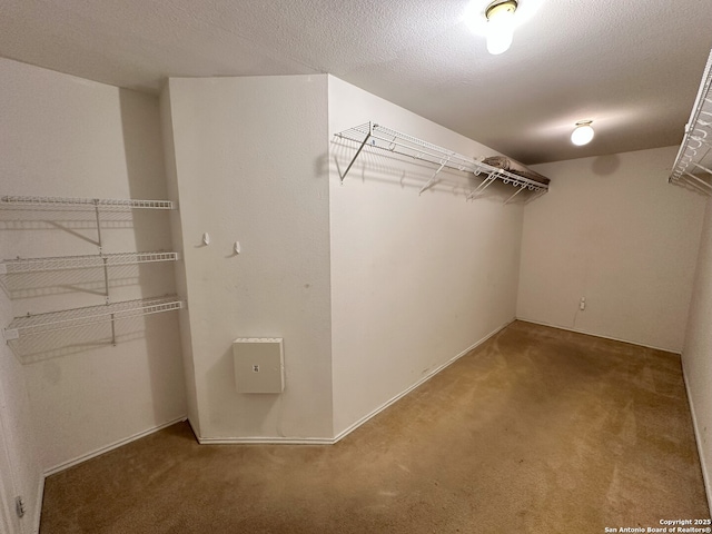 spacious closet featuring carpet floors