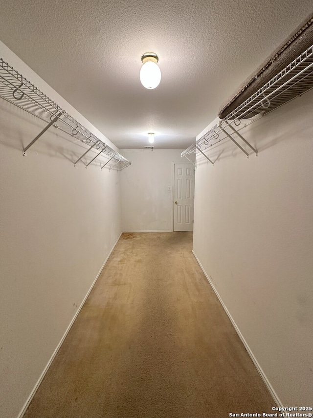 spacious closet featuring carpet flooring