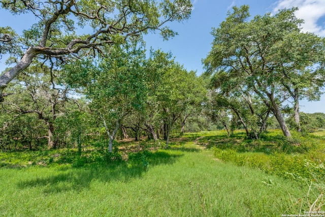 161 Chisum Trl, La Vernia TX, 78121 land for sale