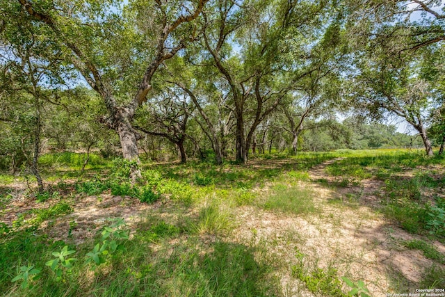 Listing photo 3 for 161 Chisum Trl, La Vernia TX 78121