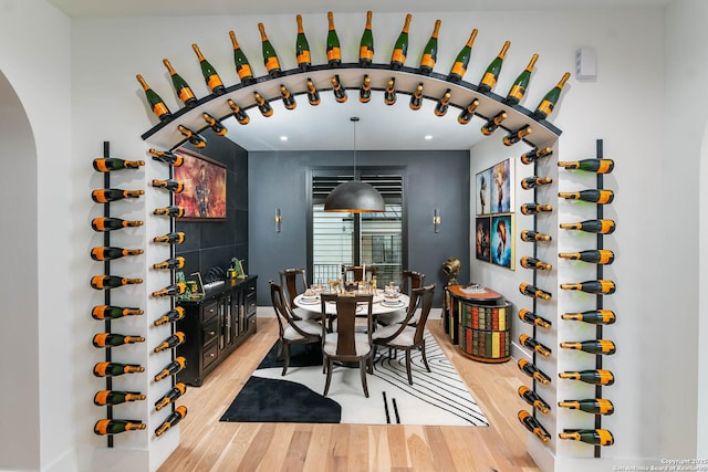 wine room with light wood-type flooring