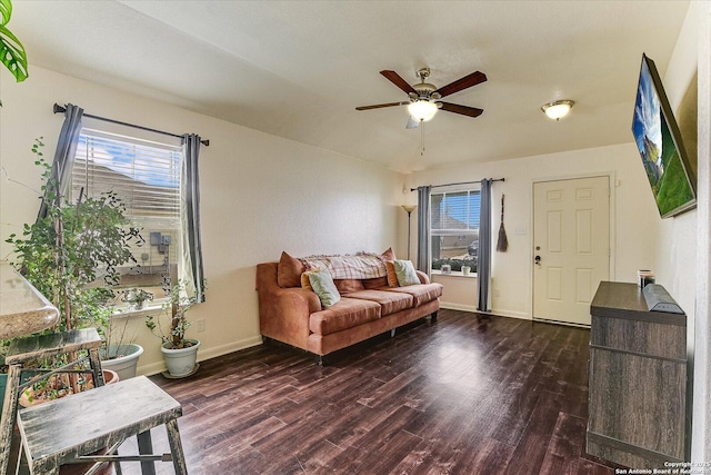 living room with ceiling fan, dark wood-type flooring, and a healthy amount of sunlight