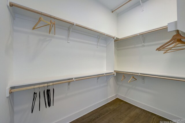 spacious closet featuring dark wood-type flooring