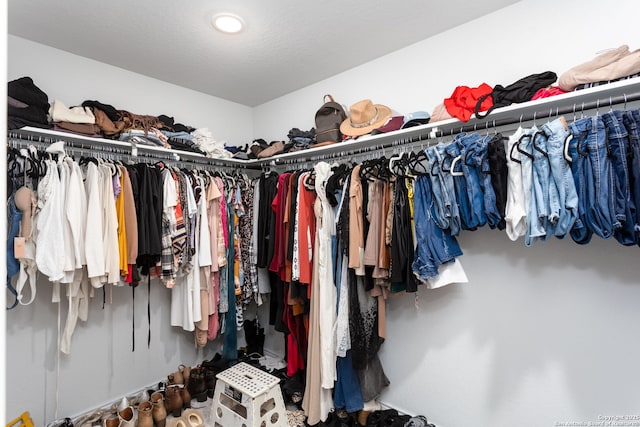 view of spacious closet