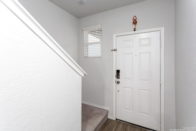 foyer entrance featuring dark wood-type flooring