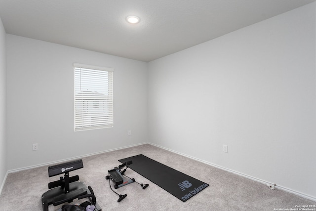 exercise area featuring carpet floors