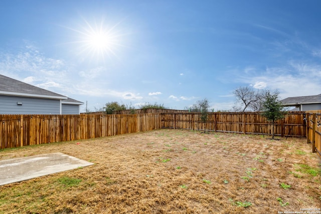 view of yard featuring a patio