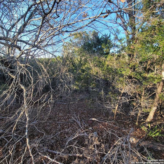 Listing photo 3 for LOT1-24 32nd St, Lakehills TX 78063