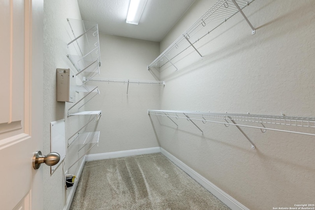 spacious closet with carpet