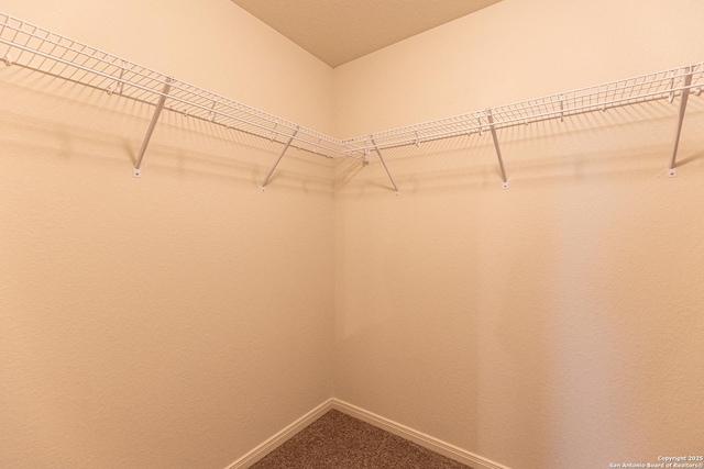 spacious closet with carpet