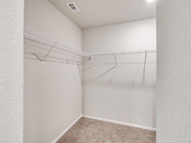 walk in closet with carpet flooring