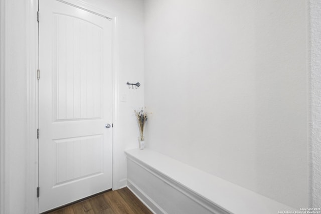 mudroom featuring dark wood-type flooring