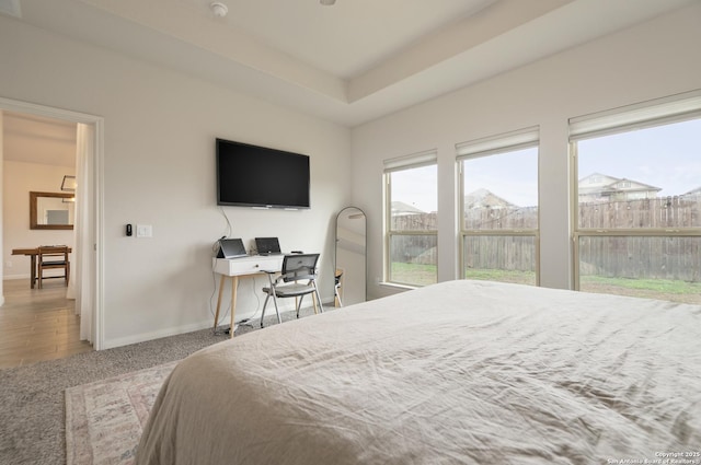 bedroom featuring a tray ceiling