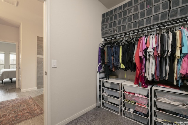 view of spacious closet