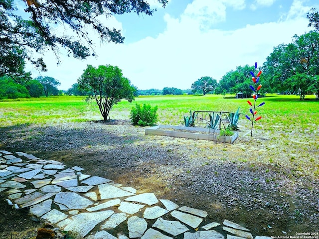 surrounding community featuring a garden and a lawn