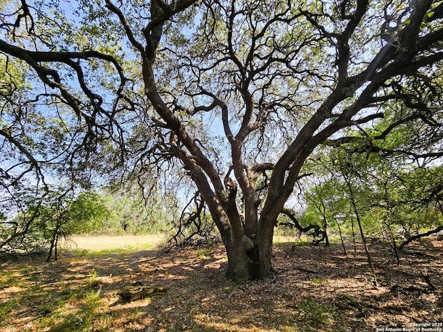 view of landscape