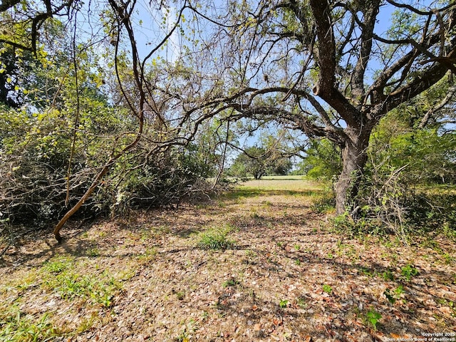 view of nature