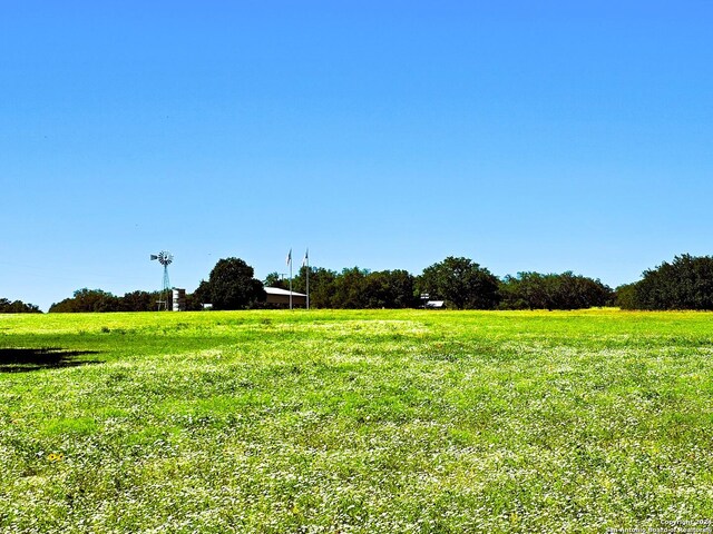 view of yard featuring a rural view