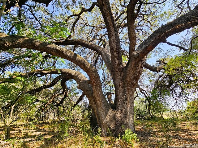 view of nature