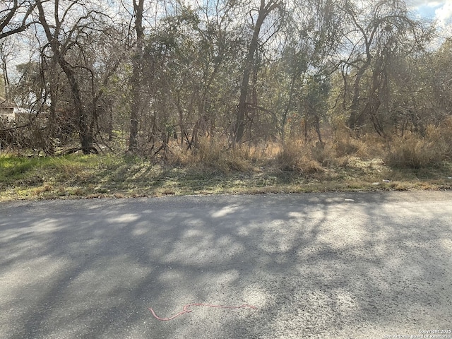 TBD Black Willow, San Antonio TX, 78264 land for sale