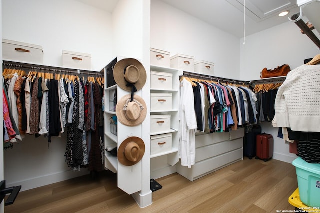 walk in closet featuring hardwood / wood-style floors