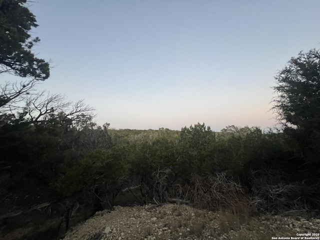 view of nature at dusk