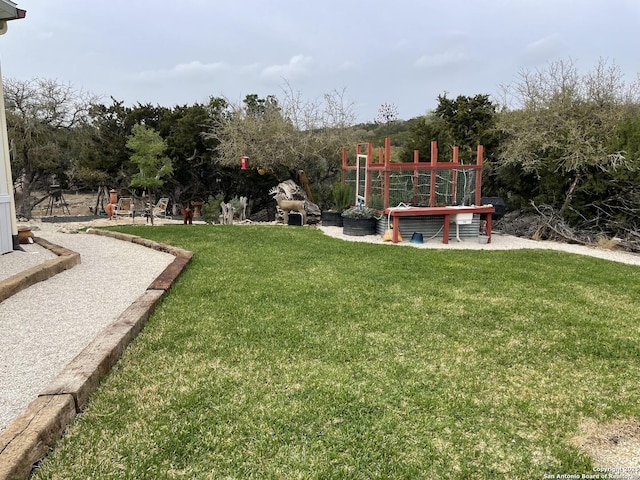 view of yard featuring a playground