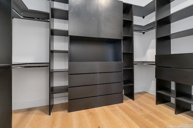 walk in closet with light hardwood / wood-style floors