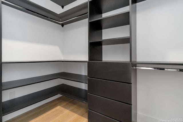 spacious closet featuring hardwood / wood-style flooring