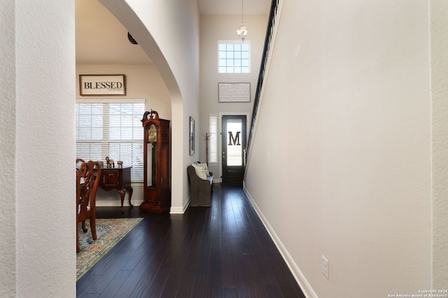 doorway to outside with dark hardwood / wood-style floors and a high ceiling