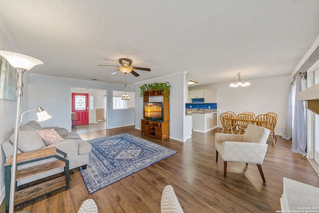 living room featuring hardwood / wood-style flooring, ornamental molding, and a textured ceiling