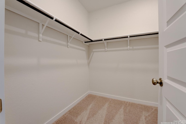 spacious closet with carpet flooring