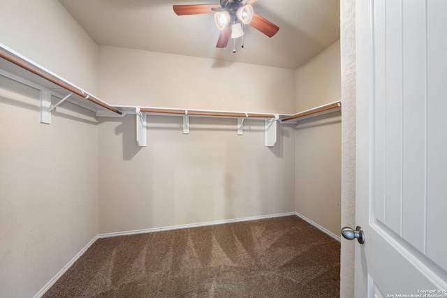 walk in closet with ceiling fan and carpet flooring