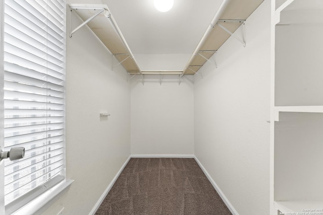 spacious closet with carpet floors