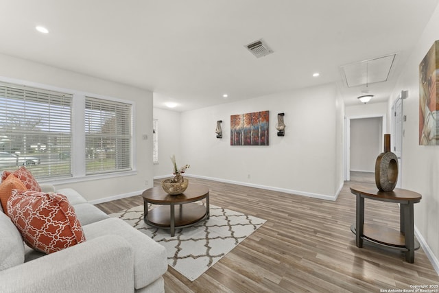 living room with wood-type flooring