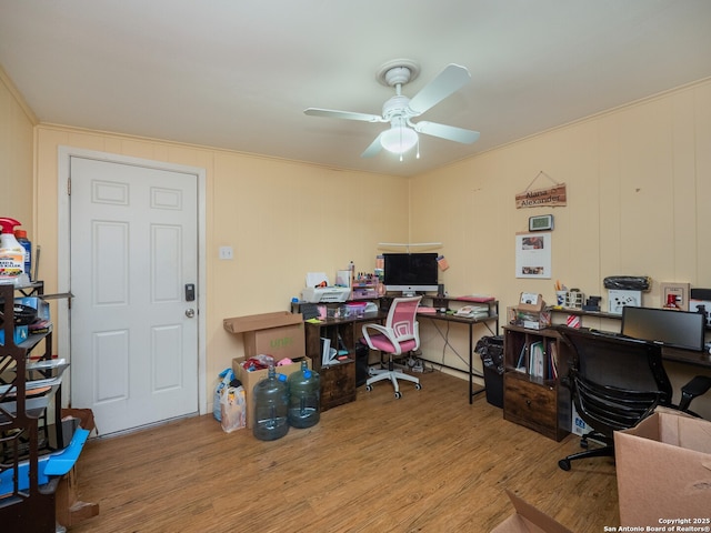 office area with light hardwood / wood-style flooring and ceiling fan