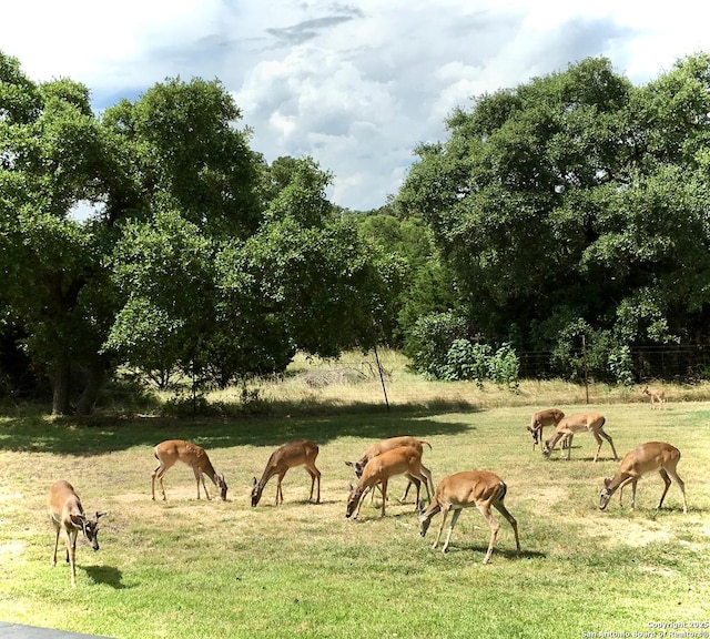 view of home's community