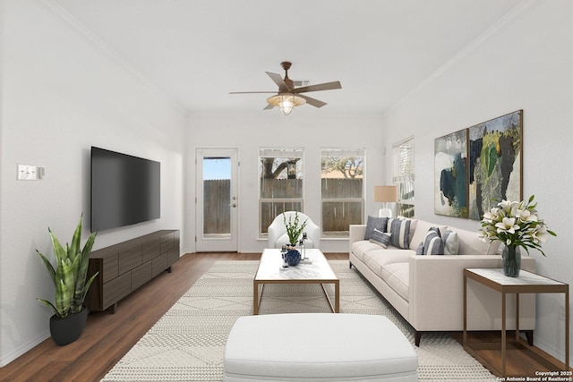 living room featuring ornamental molding, ceiling fan, and wood finished floors