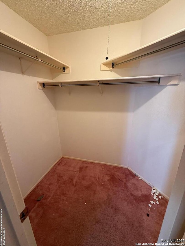 spacious closet with carpet flooring