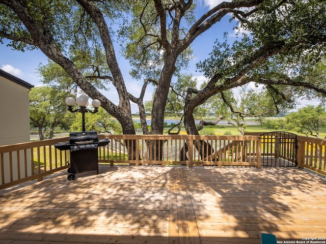 1048 Parkview Dr, Canyon Lake, TX 78133 - deck featuring area for grilling