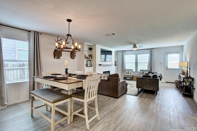 dining room featuring ceiling fan with notable chandelier and light hardwood / wood-style floors