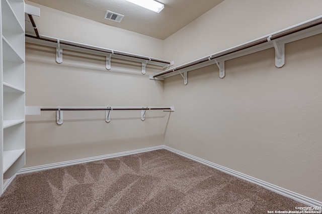 walk in closet featuring carpet floors and visible vents