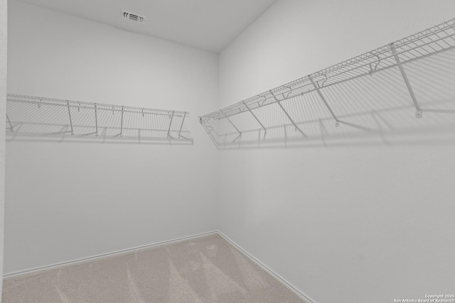 spacious closet with carpet floors