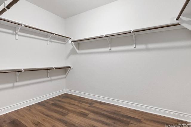 spacious closet featuring dark hardwood / wood-style flooring