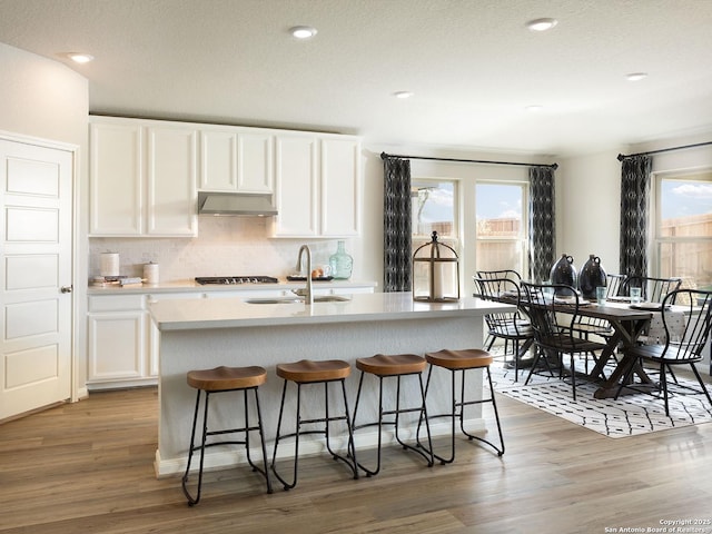 kitchen featuring white cabinetry, light countertops, under cabinet range hood, and a sink