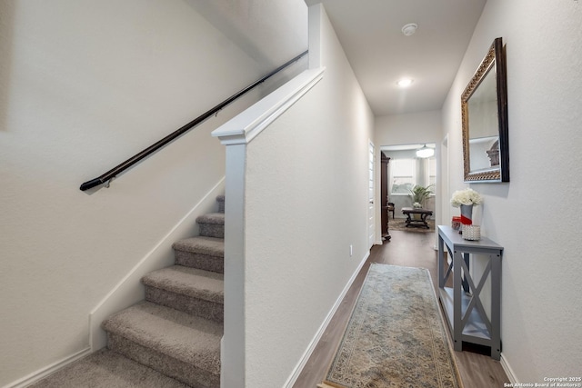 stairs featuring hardwood / wood-style flooring