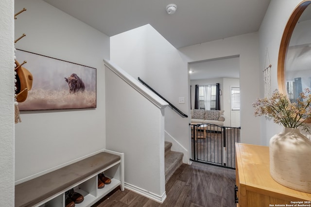 stairs with wood-type flooring