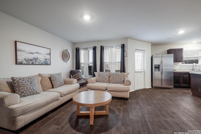 living room featuring dark wood-type flooring and sink