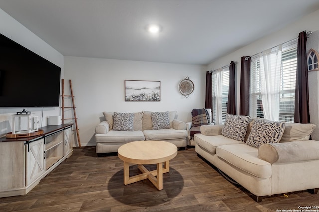 living room featuring dark wood-type flooring