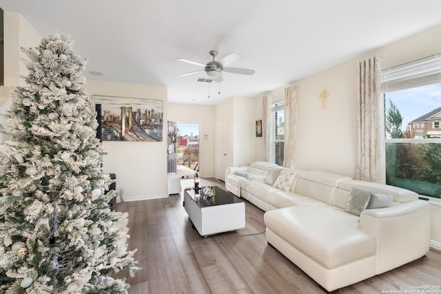 living room featuring hardwood / wood-style flooring, plenty of natural light, and ceiling fan